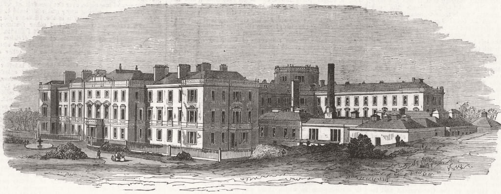 SCOTLAND. Crichton Royal institution, Dumfries 1872 old antique print picture